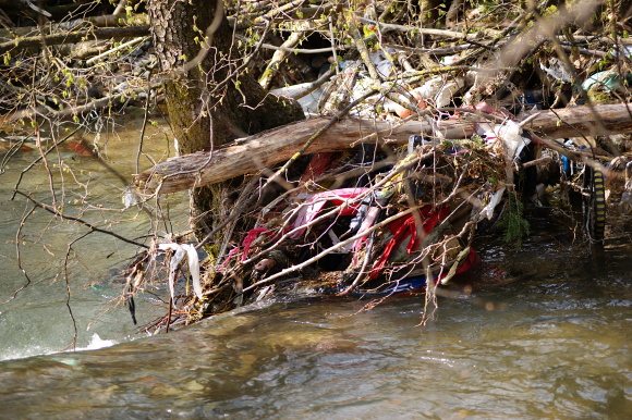DSC00704.JPG