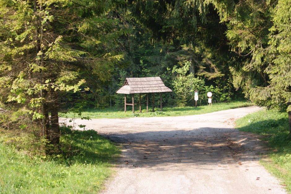 DSC06704.JPG