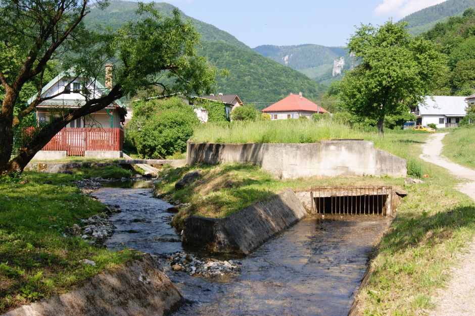 DSC06669.JPG