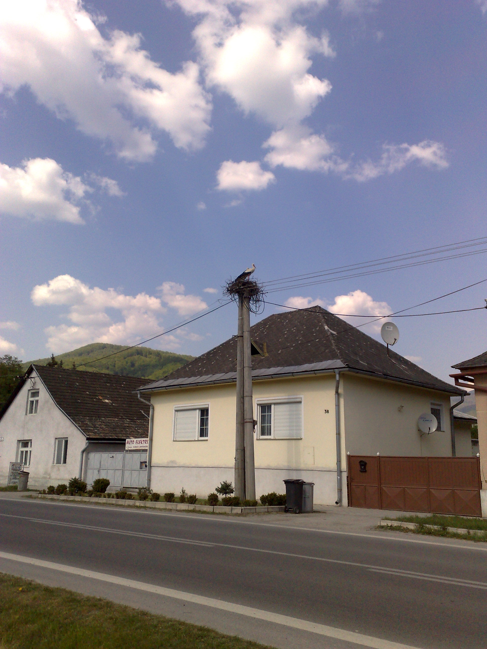 29042009010