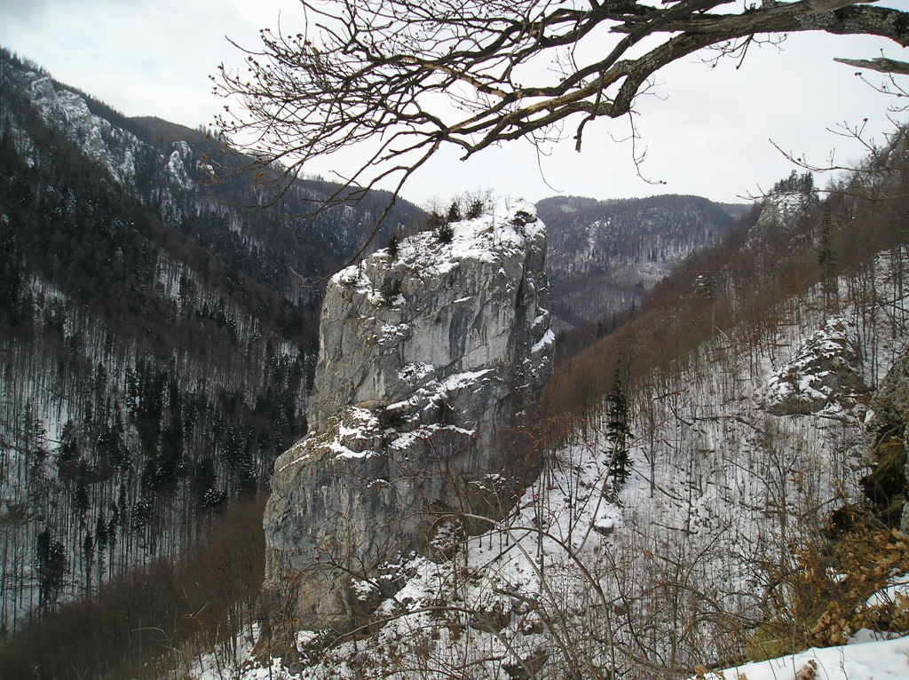 P1010343