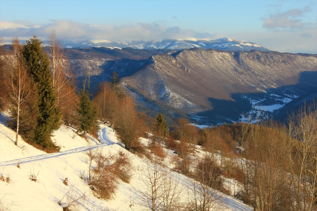 c6l_445648_orig