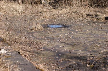 DSC08281