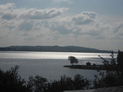 DSC00806