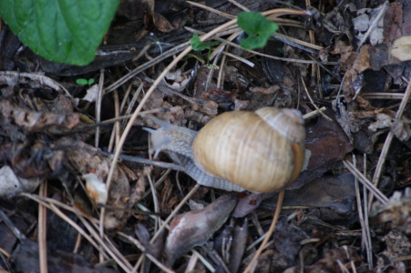 DSC08788