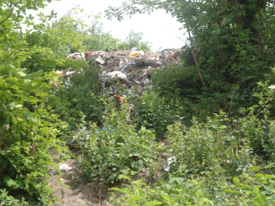 DSC01153