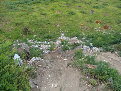 DSC01166