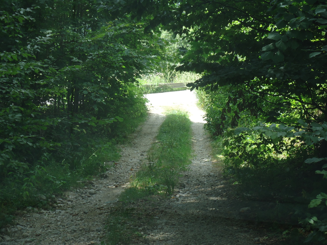 DSC05130