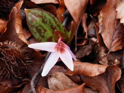 P3050009