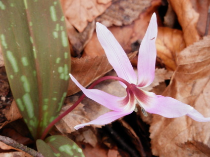 P3050015
