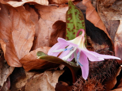 P3050025