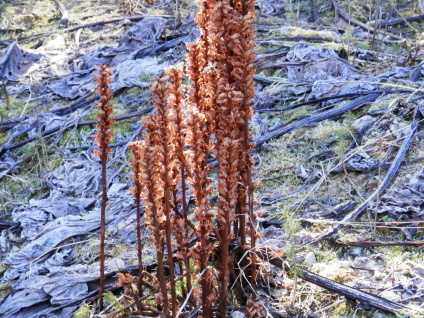 P3140033