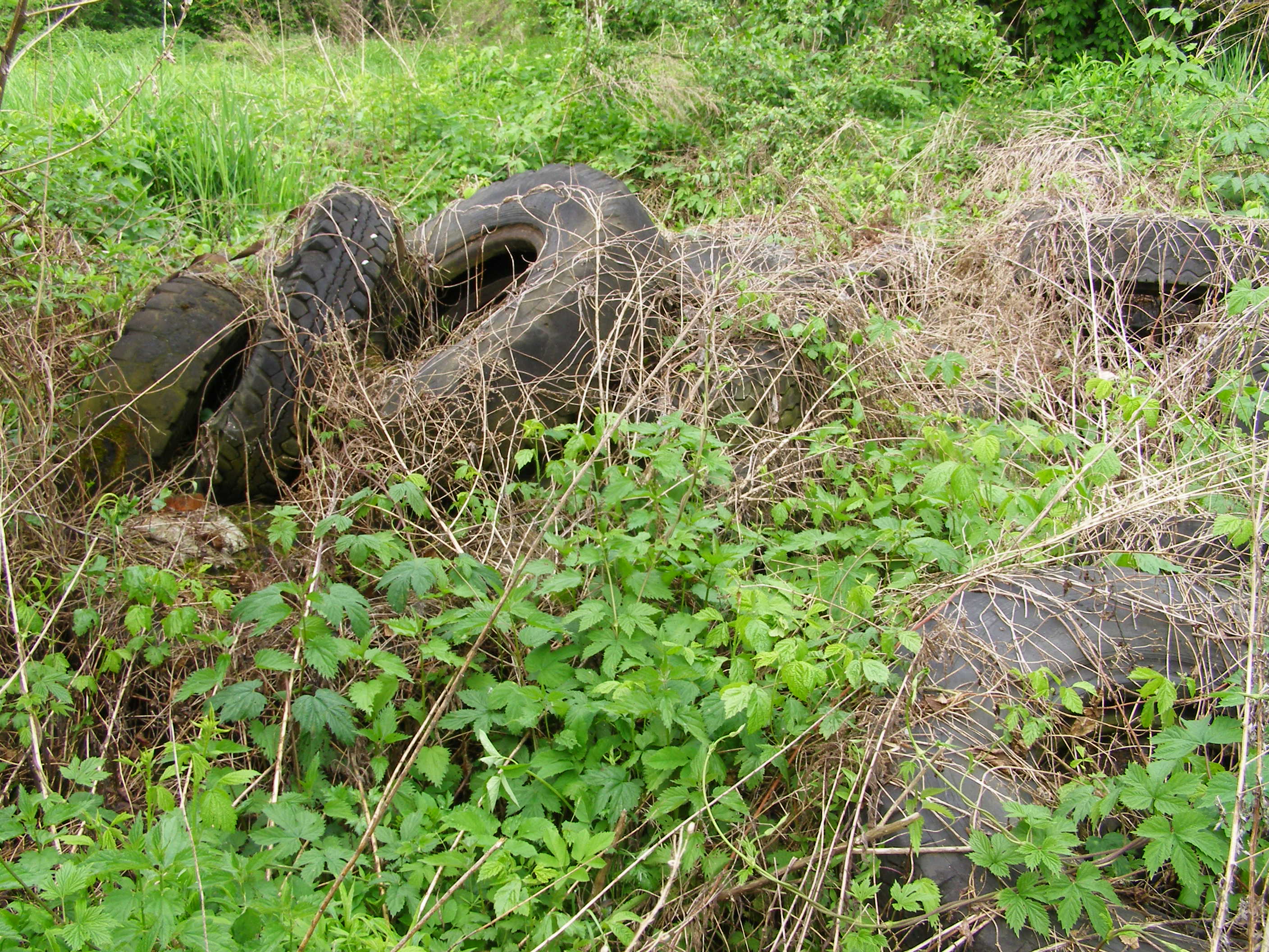 P5160026.JPG