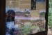DSC04854.JPG